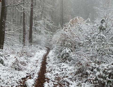 2. Lauf zum Oberbecken