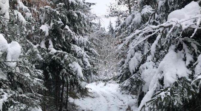 4. Lauf zum Oberbecken: Kalt mit Schnee